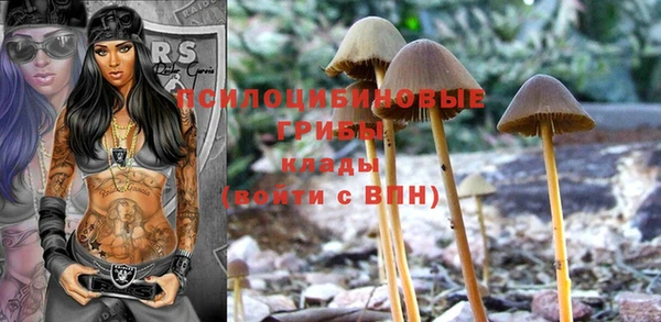 хмурый Абинск