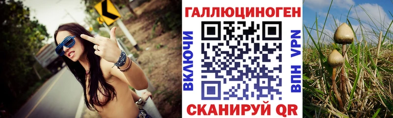 гидра сайт  как найти закладки  Балахна  Псилоцибиновые грибы ЛСД 